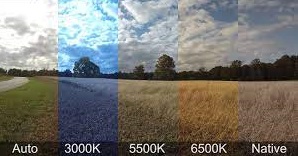 5 steps to good color